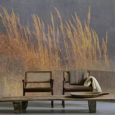 Luxusní vliesová tapeta „Grass in Concrete“
